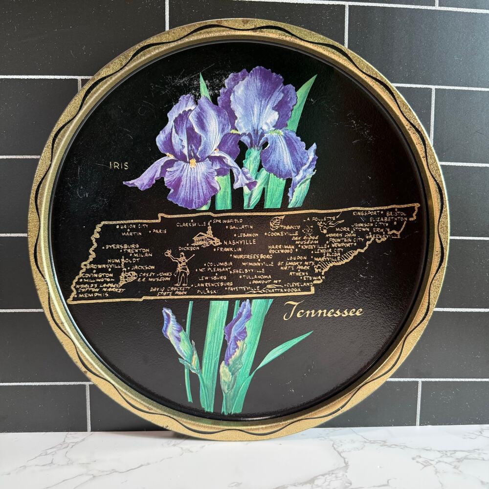 Vintage 1960s Tennessee Souvenir Metal Tray Map Iris Retro